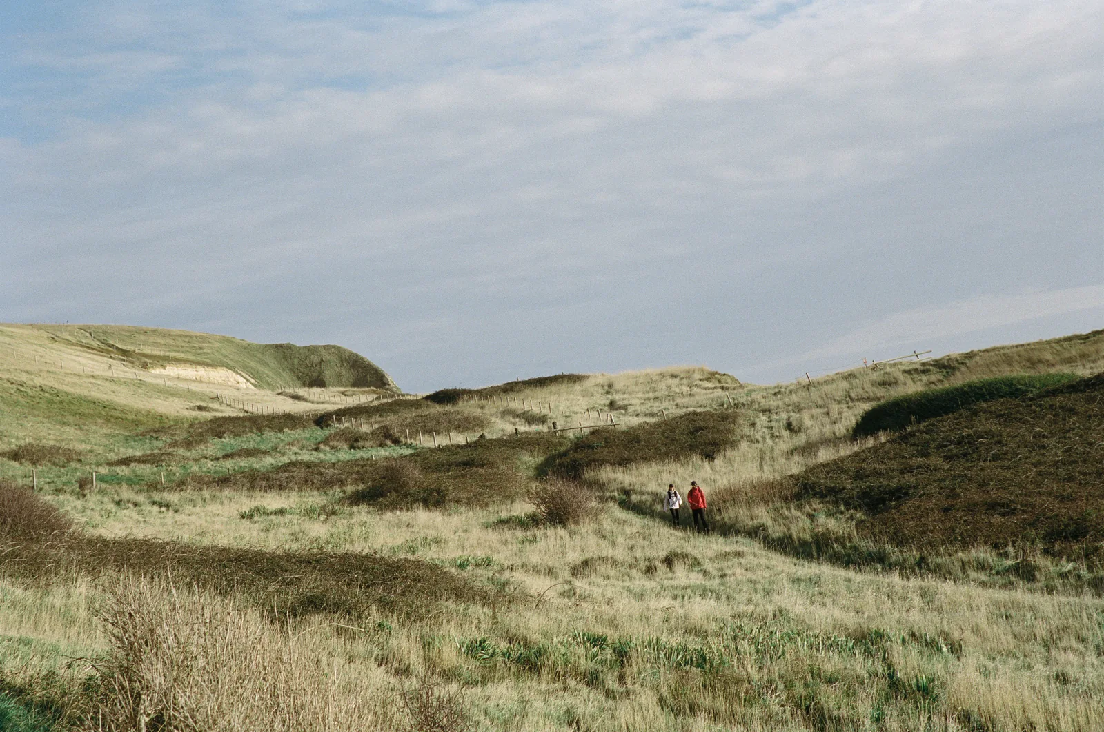 Trail runners in open tussock country
