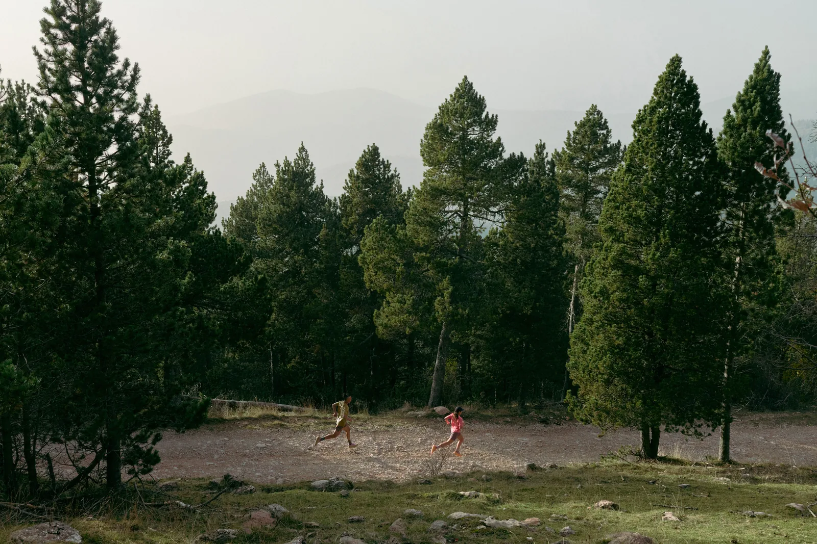 Runners on a forest trail