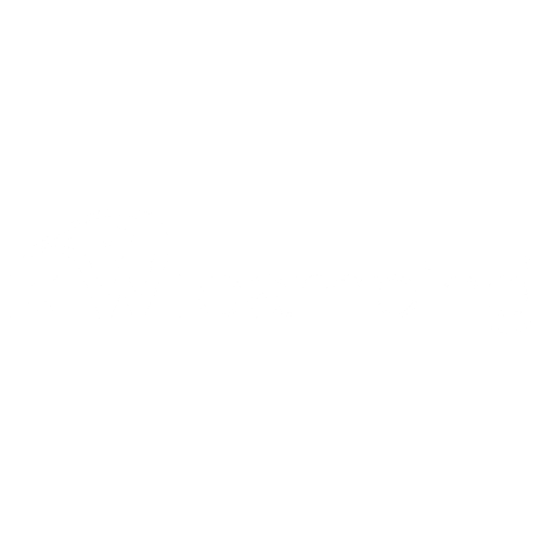 Kiwi Camping