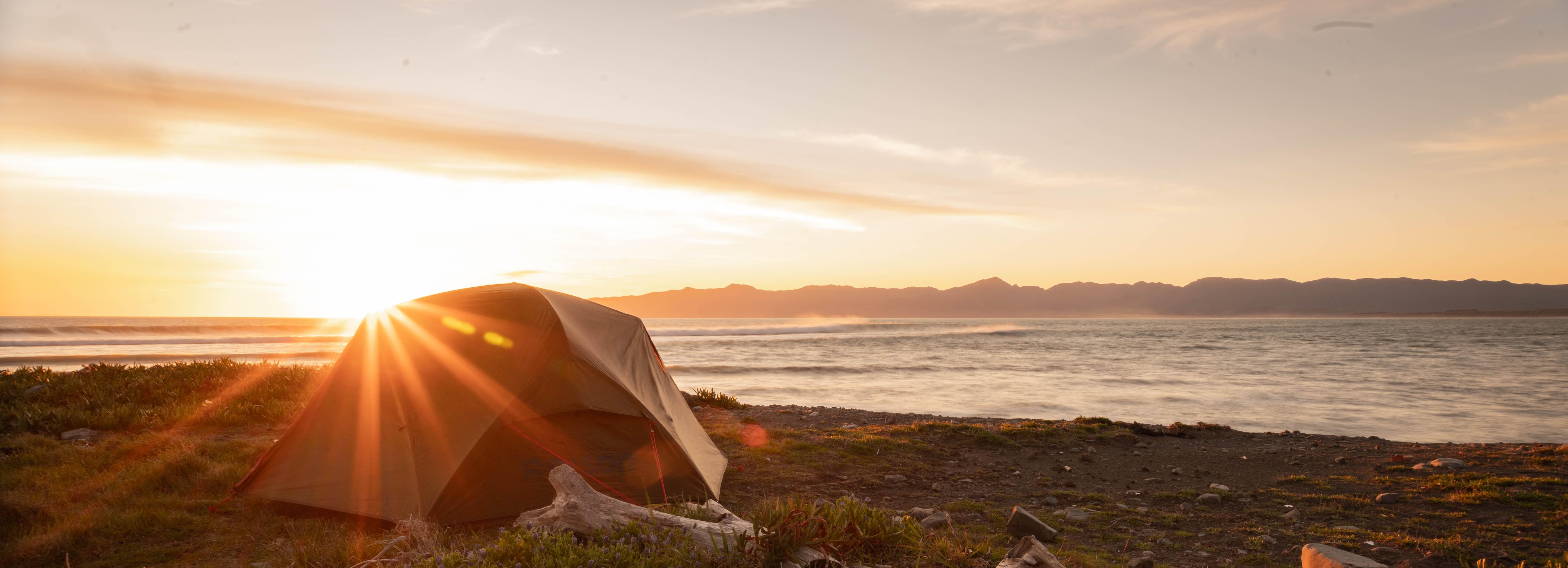 Tents at Land & Sea NZ — beachfront campsite at sunrise